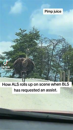 How ALS rolls up on scene when BLS requests an assist