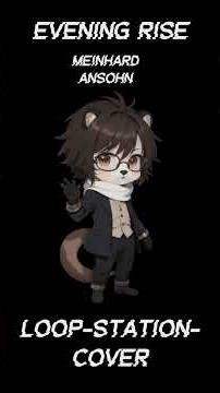 Evening Rise - Meinhard Ansohn Loop-Station-Cover