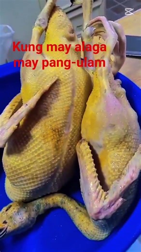may pang-ulam na sarap @qatar #backyard