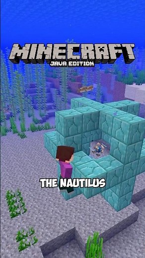Useful Nautilus Shell #minecraft