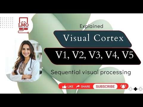 Visual Cortex (V1–V5) Made Easy | Vision Physiology