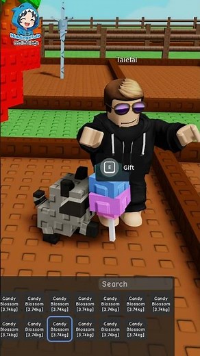 Hidding Become A Raccoon Grow A Garden #growagarden #roblox