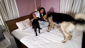 84K views · 2.3K reactions | Here are some tips to help keep your...