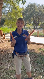 How to plant carrots the easy way! 🥕 Try this method out & let us know how it works for you! | Rainbow Gardens