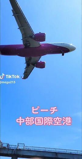 TikTokでmegu213さんをチェック！