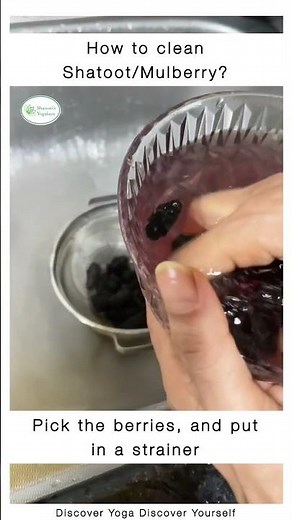 How to Clean Shatoot/Mulberry