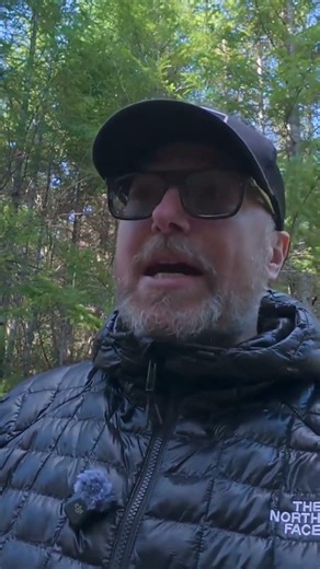How I Protect My Campsite From Bears & Strangers #camping