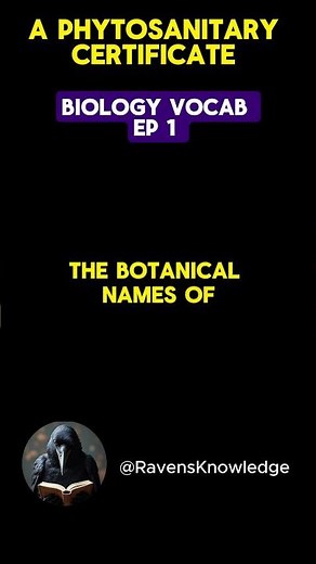 What is a phytosanitary certificate? When should you get it? Biology Vocab Episode 1