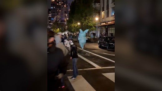 Officers Target Protester In Bunny Costume With Laser Outside ICE Facility