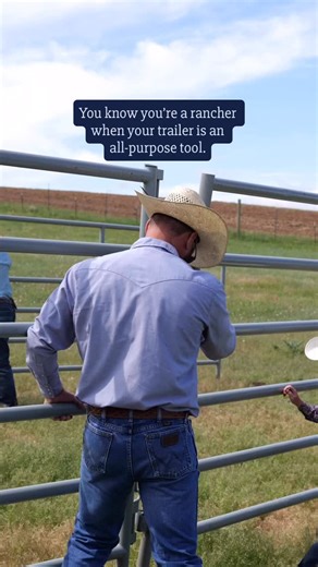 What’s the strangest thing you’ve ever done with your trailer? 👌 On our family ranch, we need trailers that are durable, efficient, and help with a range of ranch work. That’s why we started Big Bend Trailers! We realized we weren’t the only ranchers needing dependable, affordable trailers customized to our lifestyle. No matter what you’re hauling or where you’re going, Big Bend has you covered. Learn more about our trailers by visiting our bio. 📸 @lazytranchwy #cattle #horses #horsetrailer #l