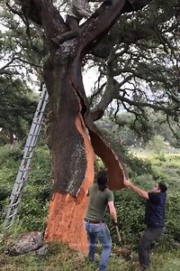 Great work moments that you haven't seen yet 😲😲😲😱😱😱 | Handmade