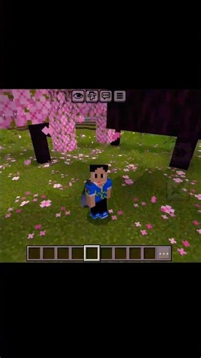 Minecraft illegal skin😈😈#minecaft #video😊