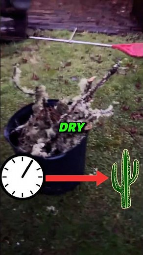 Best Way to Clean Up NASTY Sticks