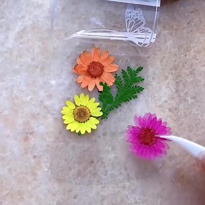 Készítse el Ön is a legszebb könyvjelzőket! Szárított virágok nélkül! 🏵️ Igazi virágok 🌺 Könnyen elkészíthető 🌸 Tökéletes ajándék Vásárolja meg ezt az egyedi készletet itt 👇 https://superzebra.hu/termek/dried-flower-bookmarks-set/?sp=775495i007 | Superzebra