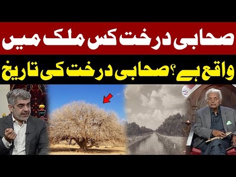 The Tree of the Prophet’s Companion | History of the Blessed Tree in Jordan