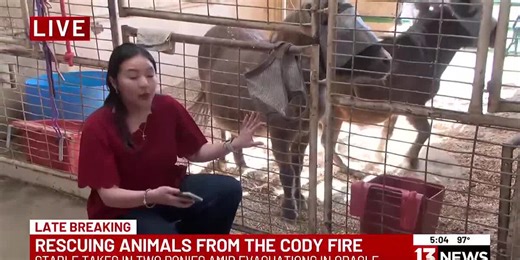 Pima County stable takes in ponies amid evacuations for Cody Fire