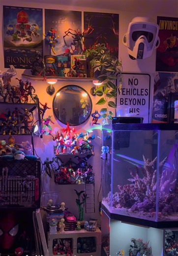 Should be studying but made this instead #roomtour #figtok #fyp #aquarium #nerd