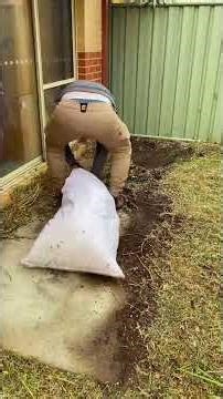 Front Yard Glow Up in Minutes #lawncare #yardmakeover #satisfying