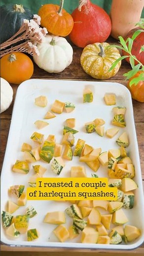 Squash, Parmesan & Anchovy Gratin