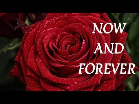 Love connection After 1Hours Deep Romantic Love Song | And She Fall Deeper In Love Forever Again ❤️