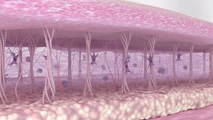 Clip D4137_4_017, from Dissolve