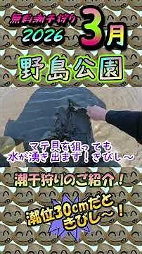 [2026] It seems that clam digging will be difficult at Nojima Park, where the tide is only 30cm!