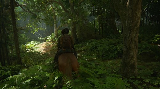 美末2森林远视角骑马奔跑