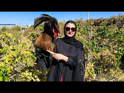 You Won’t Believe What This Village Girl Does with a Rooster!