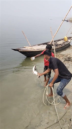 Amazing Fishing By hook traps! #fishing#fishinglife