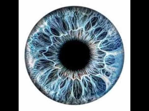 Playing strongman sim, grinding for 3K rebirth and beyond