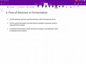 SOLVED:Lactic acid fermentation and alcoholic fermentation are oxidation-reduction reactions. Identify the ultimate electron donor and electron acceptor.