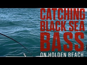 Catching Black Seabass on Holden Beach North Carolina🎣