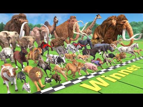 Big Race 44 Wild Animals VS Farm Animals Running Race: Which is the Fastest Animal? ARBS Adventure!