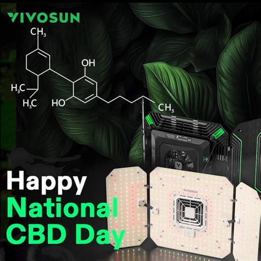 7.6K views · 50 reactions | Happy National CBD Day!  Have questions about growing CBD plants? We're holding a Q&A session! Drop your questions below, or jump in and answer others' questions. #vivosuncbdday #cbd #cbdday #nationalcbdday #cbdplants #smartgrowing | VIVOSUN | Facebook