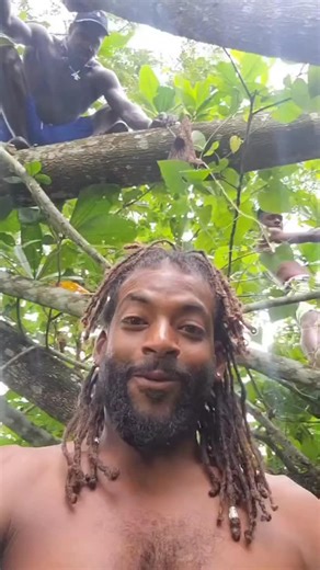 Meelah_Moss_Seamoss on Instagram: "☝️ONLY TO BE DONE ONCE A YEAR. During this process and after this process you need to HYDRATE, hydrate, HYDRATE. It’s recommended that you hydrate with coconut water but spring was is ok too. The Duck Flower Detox is available now in our shop. This powerful #alkaline #electric #herb is a rare find, so if you are interested in doing this detox please get yours now while it is in stock. The Duck Flower blossoms only ONCE per year so when it sells out, we won’t re