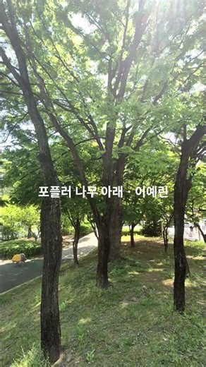 #포플러나무아래 #이예린 #감성음악 #추억의노래