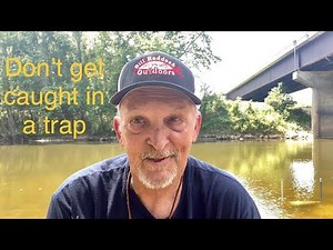 The best bait for a minnow trap!