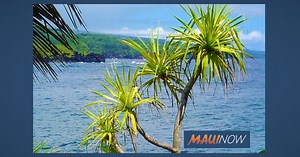 Maui Destination Management Action Plan Summer 2021 Progress Report | Maui Now