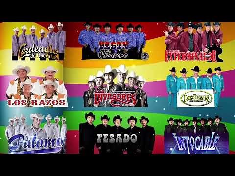 INTOCABLE,EL PODER DEL NORTE,VAGON CHICANO,PALOMINOS,CARDENALES DE NUEVO LEON Y CONJUNTO PRIMAVERA