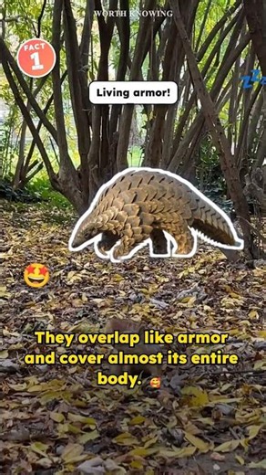 Pangolin Facts: The Only Mammal on Earth Covered in Scales
