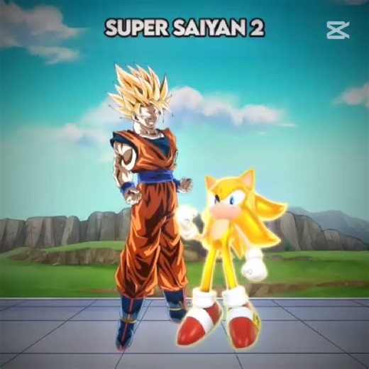 transformation shop Goku and Sonic