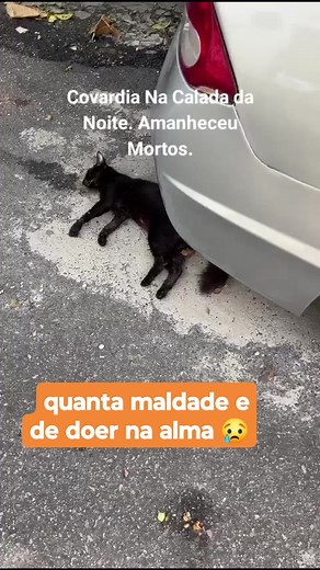 Zilda Aguiar on Reels