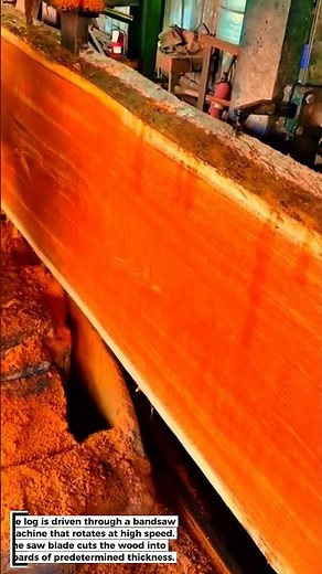 🔴 Giant Wood Cutting Process to Boards - Using Advanced Sawmill Machines