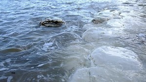 Free video - Tide, Ebb, Flow, Erosion, Chalk