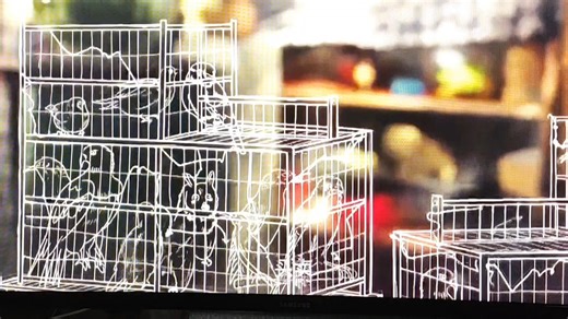 2026最新版星火电视 电视直播神器 央视 卫视 港澳台 全网通 DJ音乐 即点即播