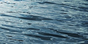 3 BRILLIANT MINUTES: Sea farming