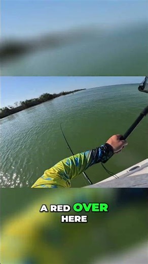 Caught My First Red Fish: Feisty Catch! #shorts