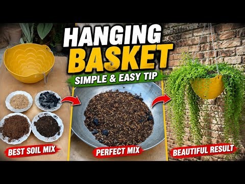 How to Make a Hanging Basket at Home | Soil Mix + Planting Guide