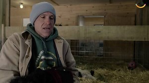 From Slaughterhouse to Sanctuary: The Incredible Story of Arthur’s Acres | Happily TV