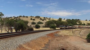 I like these enormously tall and long SCT trains. I was a couple of kms west of Avon Yard this morning waiting for The Indian Pacific when I heard this beauty coming headed east. | Railways of Western Australia